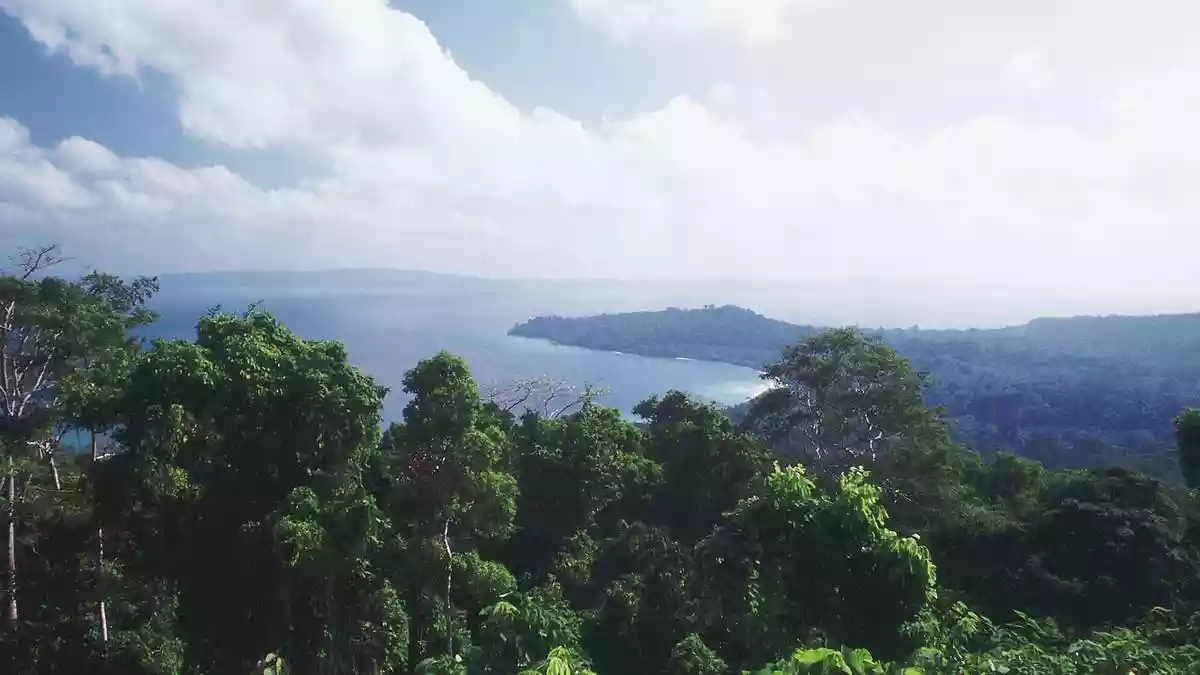 Why has NGT cleared the Nicobar project