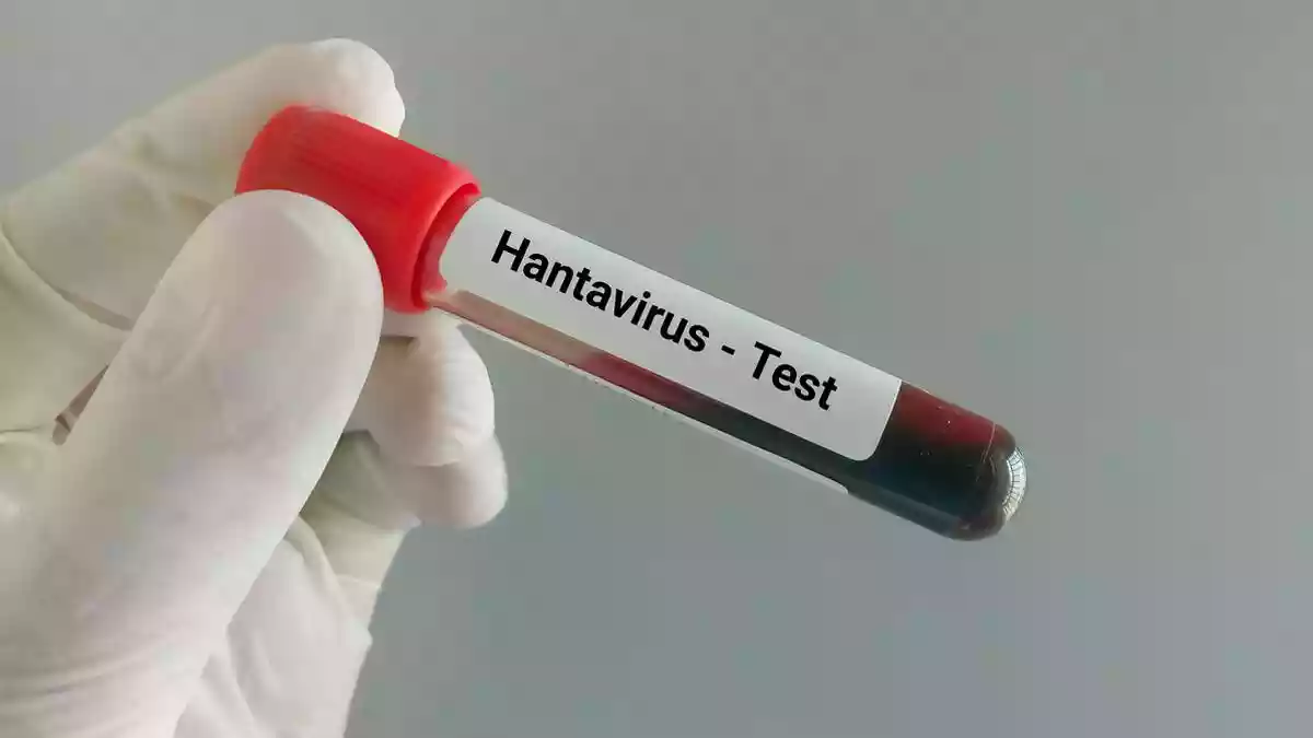 Why is hantavirus drawing global attention