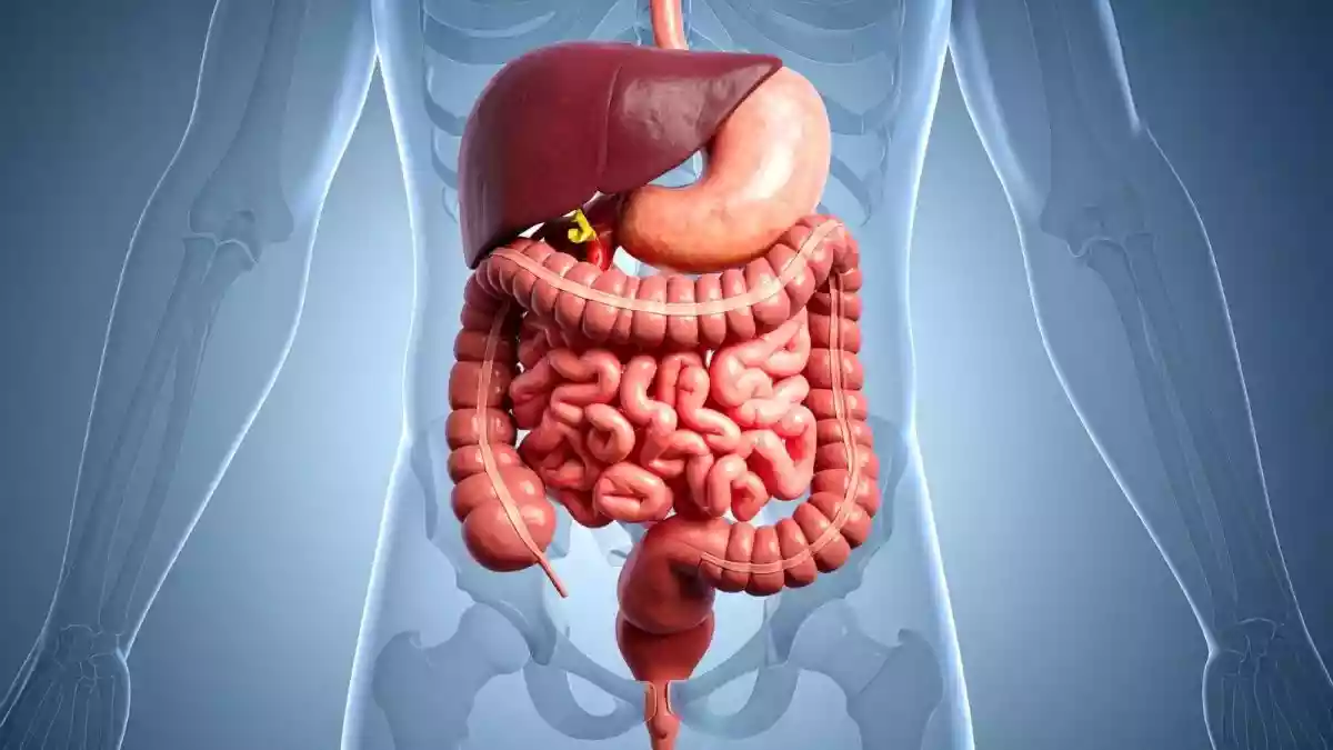 Why Your Gut Loves A Morning Routine