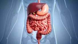 Have you ever wondered why some mornings feel light and effortless, while others leave you feeling bloated, uneasy or simply “off