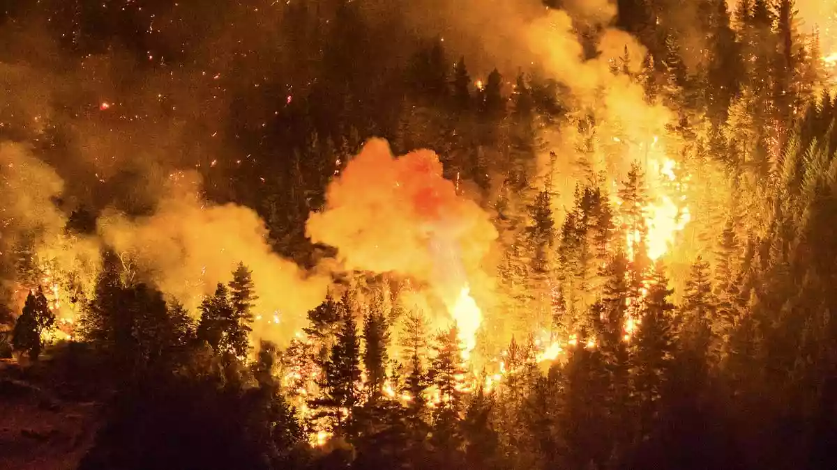 Wildfires in south Argentina rip through nearly 12