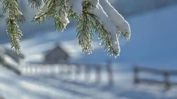 The National Weather Service (NWS) has issued a severe winter weather warning for eight states in the United States for this weekend as parts of the northern