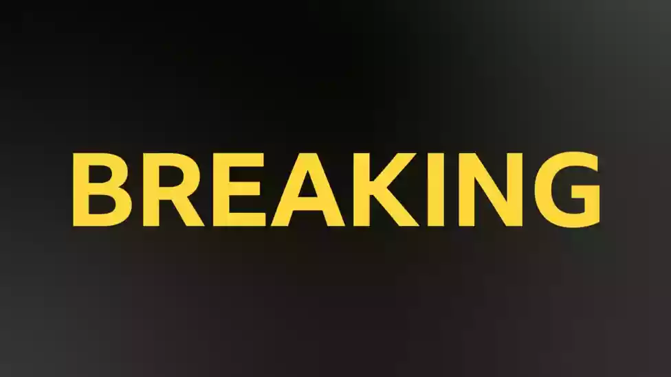 Wolves have appointed Rob Edwards as their new manager on a three-and-a-half-year contract following the sacking of Vitor Pereira