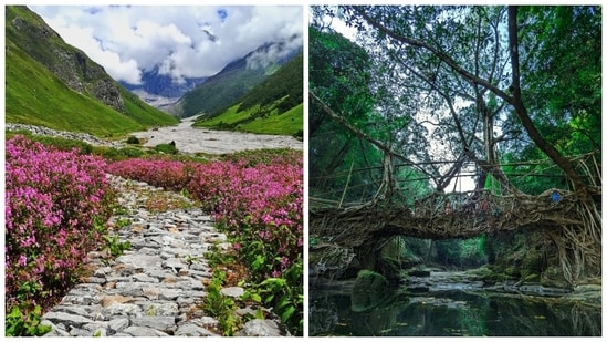 World Environment Day 2025: On World Environment Day, celebrated on June 5, here's a look at 5 natural marvels around the world you should visit at least once. World Environment Day 2025: Every year, World Environment Day 2025 is observed on June 5. In 2025, the Republic of Korea will host World Environment Day 2025 with a focus on ending plastic pollution globally. As we gear up to mark the day, here are 5 stunning destinations you must visit at least once in your lifetime to appreciate the natural marvels around us.