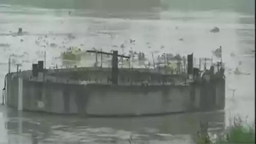 Sonipat, Jhajjar, Bhiwani and Faridabad are significant contributors, collectively turning Yamuna river into a heavily contaminated stream upstream of Delhi