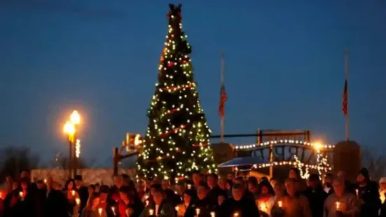 Christmas is here! The festival that celebrates the birth of Jesus Christ is loved all over the world. People visit churches, sing carols, bake plum cakes