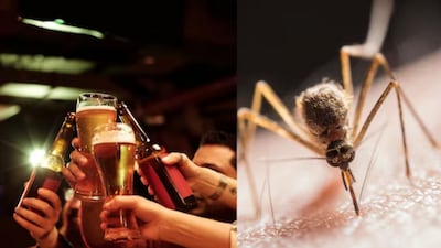 You may have noticed that some people seem to be bitten by mosquitoes far more often than others. But have you ever wondered why that is? Scientists have recently conducted a study that may provide an answer, and the findings are quite surprising. The research revealed a direct link between mosquito bites and beer consumption, leaving many astonished.