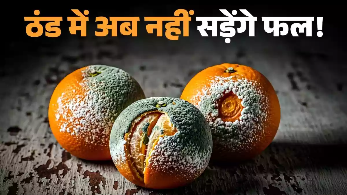 2 दिन में ही सड़ जाते हैं फल