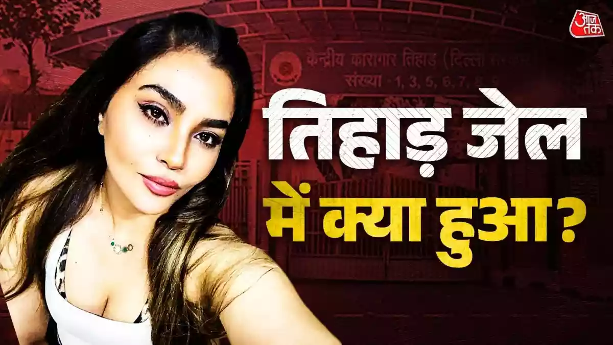 4 महीने तक तिहाड़ जेल में काटी रातें