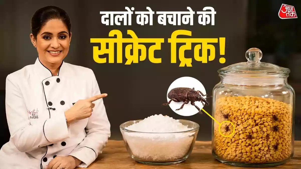 गर्मियों में दालों में अक्सर कीड़े लग जाते हैं. मास्टरशेफ पंकज भदौरिया ने दालों को लंबे समय तक सुरक्षित रखने का एक जादुई और सस्ता हैक शेयर किया है. जानें कैसे सिर्फ एक चम्मच नमक आपकी
