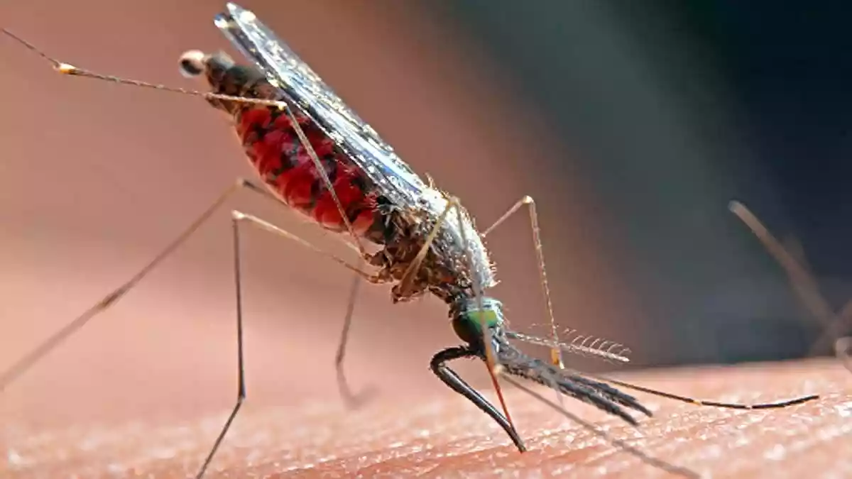 अब मच्छरों से बचाएगा कपड़ा धुलने वाला डिटर्जेंट