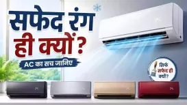 एयर कंडीशनर (AC) को आपने कई जगह देखा होगा लेकिन क्या आपने कभी सोचा है कि इसका कलर सफेद ही क्यों होता है. अधिकतर कंपनियां अपने AC को सफेद रंग ही लॉन्च करती हैं. हालांकि बीते साल हायर ने अलग