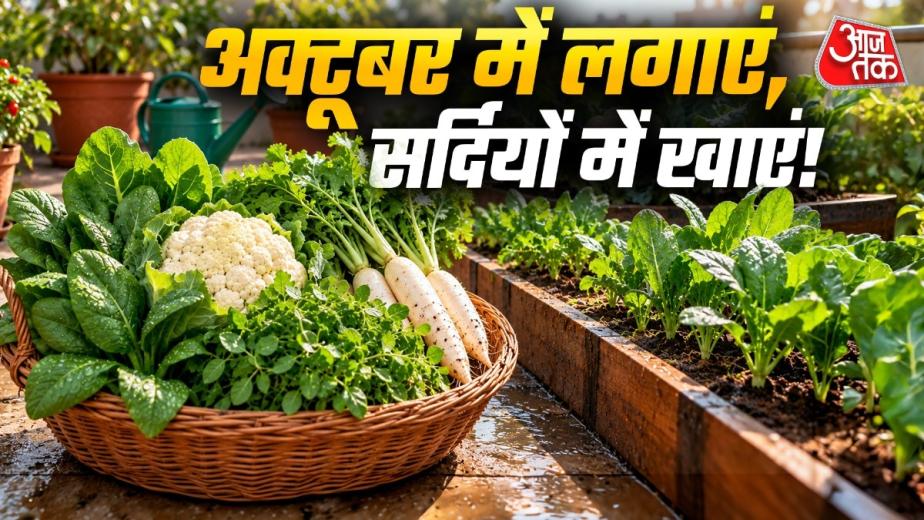 Vegetables To Grow In October: अक्टूबर की ठंडक और बारिश के मौसम में घर की बालकनी या गमले में आसानी से फूलगोभी, पालक, मूली, मेथी और बथुआ जैसी 5 सर्दियों की सब्जियां उगाई जा सकती हैं. अक्टूबर के महीने में तेज
