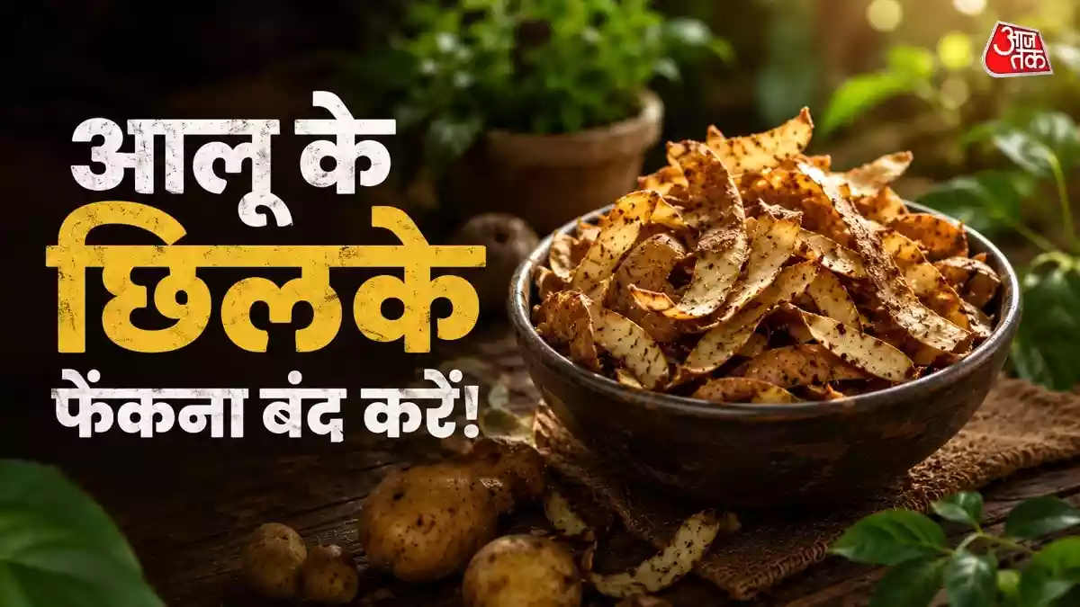 How To Use Potato Peels: आलू छीलने के बाद उसके छिलकों को फेंकने की बजाय कई कामों में इस्तेमाल किया जा सकता है. आज हम आपको बताएंगे कि कैसे इन्हें घर के कामों को हल करने में इस्तेमाल किया जा सकता है.
