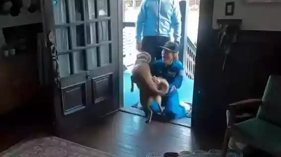 चांद मिशन से लौटने पर NASA की अंतरिक्ष यात्री क्रिस्टीना कोच का उनके डॉग सैडी ने भावुक स्वागत किया. वीडियो वायरल हुआ और लोगों को पालतू जानवरों के प्यार की याद दिलाई. ज़रा सोचिए, आप अपना घर