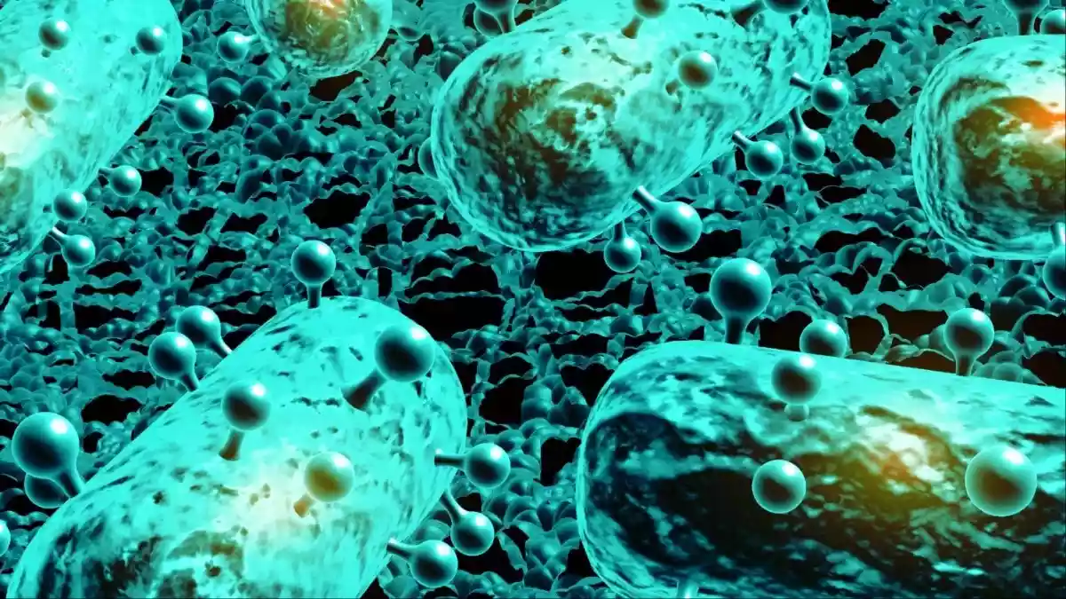 हाल ही में हुई एक स्टडी में सामने आया है कि हैदराबाद में अस्पतालों से निकलने वाले सीवेज में मौजूद एंटीबायोटिक के अंश नालों और वहां के मूसी नदी में एंटीबायोटिक्स रेजिस्टेंस