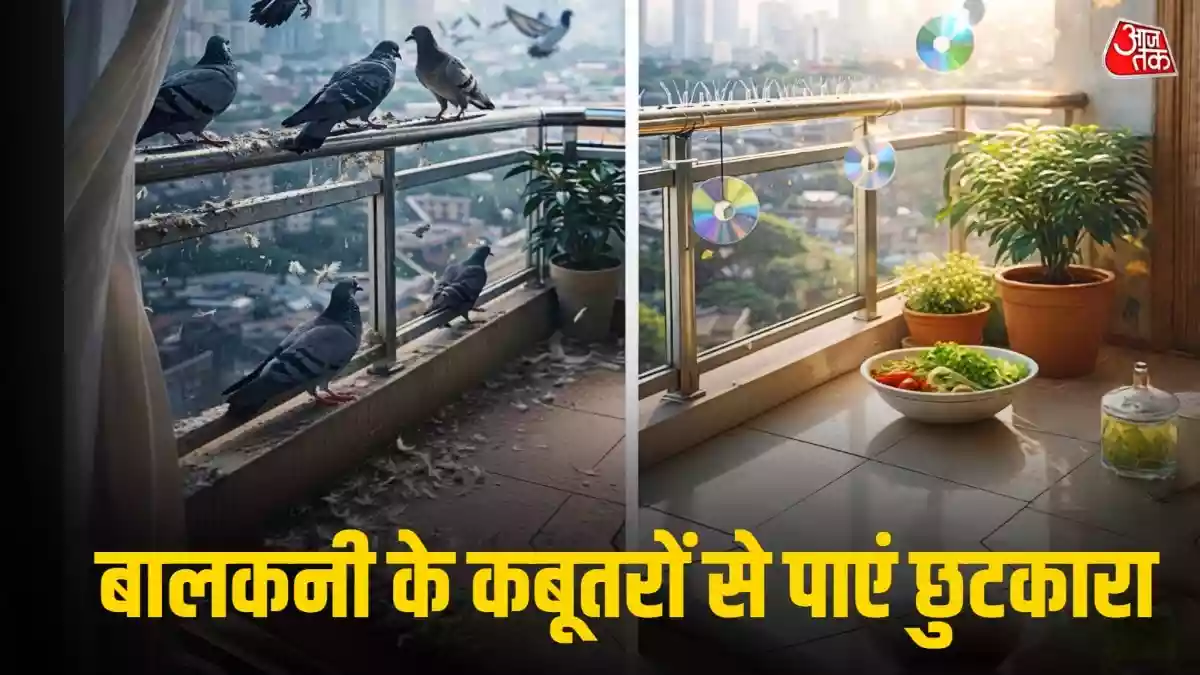 बालकनी से कबूतर भगाने का आसान तरीका