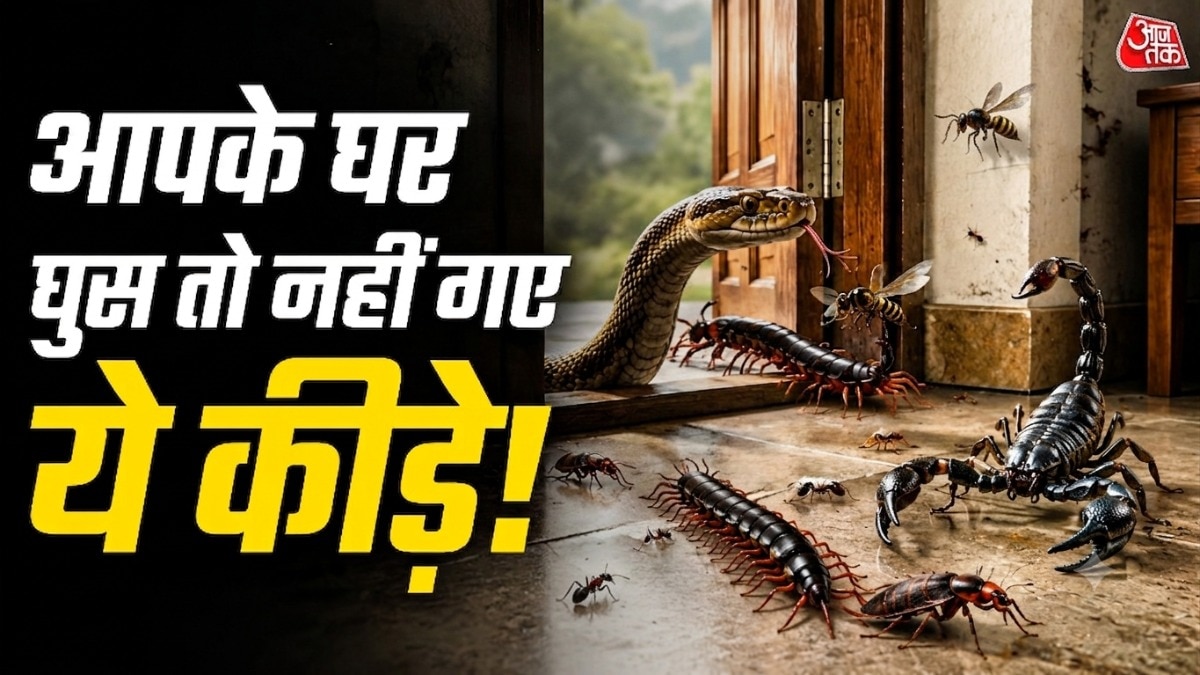 Dangerous Insects: बारिश में अलग-अलग प्रकार के कीड़ों का घर के आसपास दिखना काफी साधारण है लेकिन क्या आप जानते हैं कि इस मौसम में आपके घर कई ऐसे कीड़े घुस आते हैं जो काफी जानलेवा भी होते हैं. यहां हम