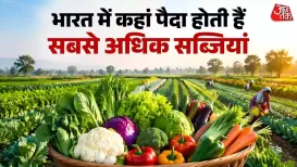 भारत में कहां पैदा होती हैं सबसे अधिक सब्जियां