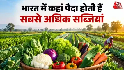 भारत में कहां पैदा होती हैं सबसे अधिक सब्जियां