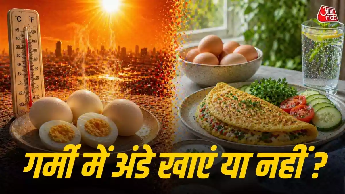 भीषण गर्मी में रोज अंडे खाना कितना सुरक्षित