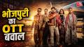 भोजपुरी इंडस्ट्री के पास वह चीज पहले से मौजूद है जिसे कोई भी नया कंटेंट बाजार खड़ा करने में लंबा वक्त लगाता है. एक मजबूत और भावनात्मक फैन बेस. भोजपुरी सिर्फ बिहार और पूर्वी उत्तर