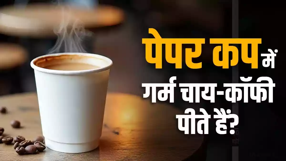 चाय, कॉफी, गर्म खाने के लिए पेपर प्लेट और कप क्यों खतरनाक