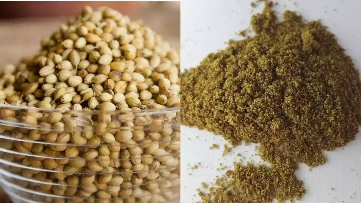 धनिया बीज Vs पाउडर