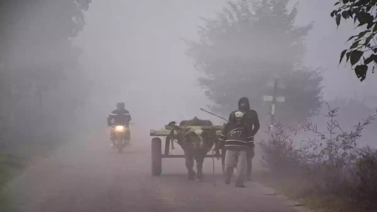 दिल्ली-NCR में सुबह छाया रहेगा कोहरा