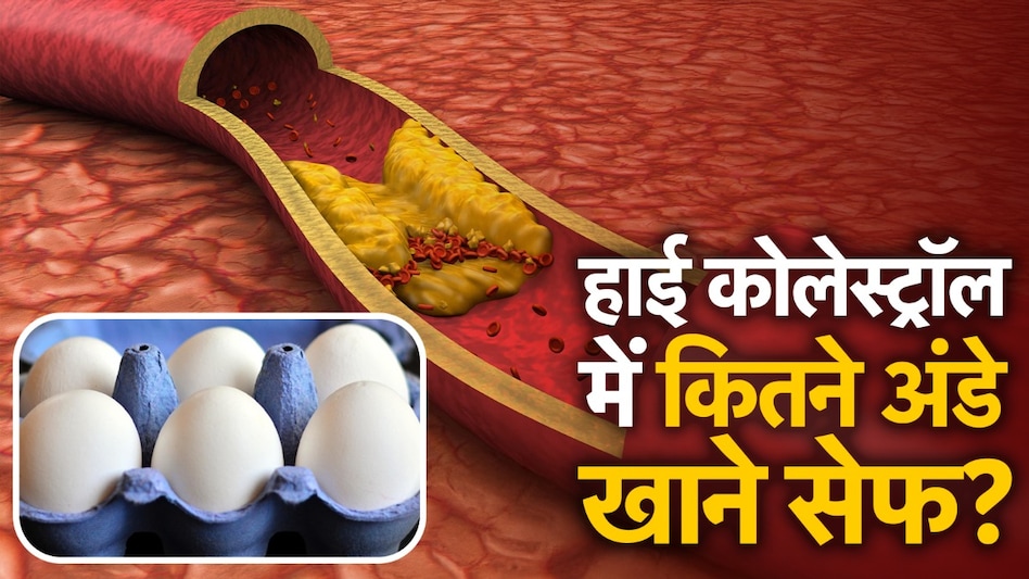 एक दिन में कितने अंडे खाएं कि ना बढ़े कोलेस्ट्रॉल