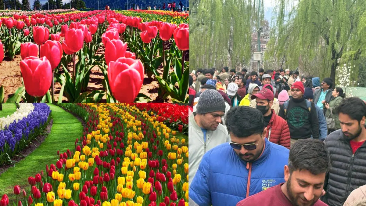 एशिया का सबसे बड़ा ट्यूलिप गार्डन खुला