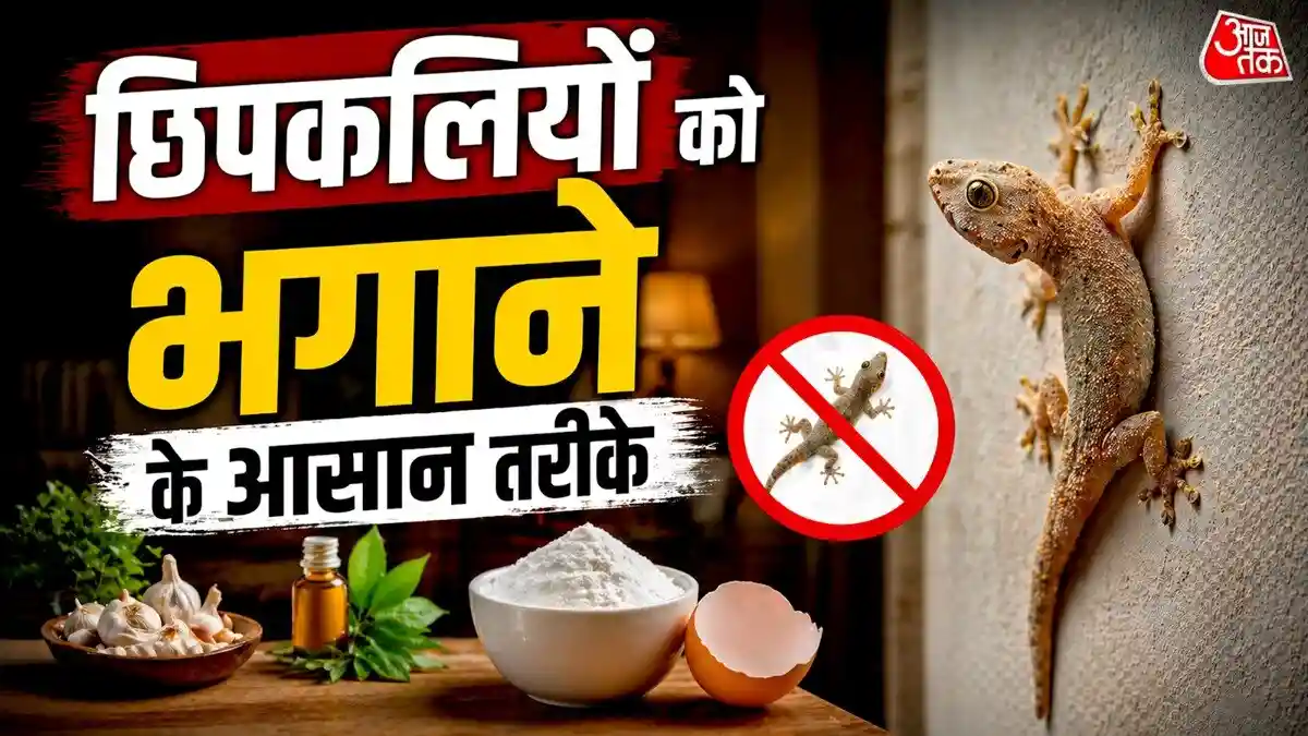 गर्मियों में छिपकलियों से पाना है छुटकारा