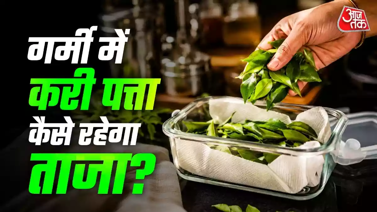 गर्मियों में खराब नहीं होगा करी पत्ता