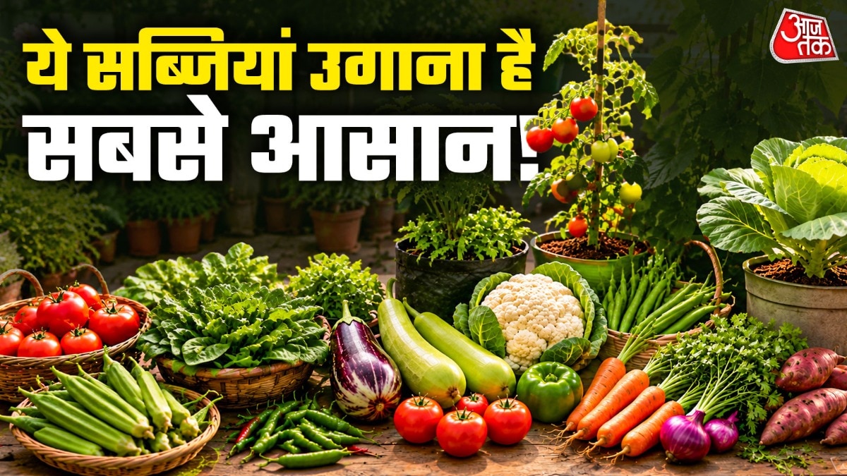 Easiest Vegetables To Grow In Pots: घर की क्यारी, गमले या ग्रो बैग में ताजी सब्जियां उगाना चाहते हैं, लेकिन आज तक गार्डनिंग नहीं की है? तो चिंता करने की जरूरत नहीं है. भारत में कई ऐसी सब्जियां हैं, जिन्हें सही