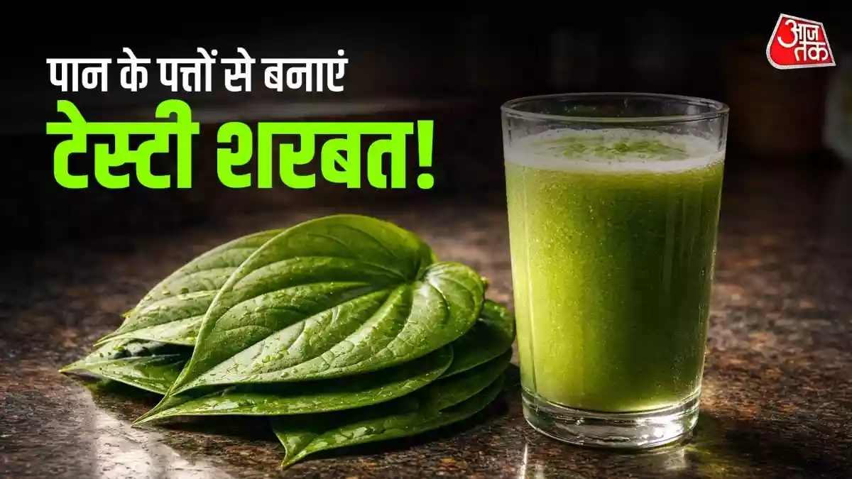 गर्मियों में सेहत से समझौता किए बिना कुछ ठंडा पीना चाहते हैं? तो 'शाही पान का शरबत' आपके लिए बेस्ट है. पान के पत्ते से बना यह शरबत न केवल पाचन सुधारता है, बल्कि शरीर को इंस्टेंट ठंडक भी