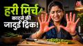 How To Cut Green Chillies Easily: हरी मिर्च काटने के बाद क्या आपके हाथों में भी तेज जलन होती है? अगर हां, तो आप परेशान न हों. इस खबर में हम आपको ऐसी ट्रिक्स के बारे में बताएंगे, जिनकी मदद से आप बिना हाथ जलाए