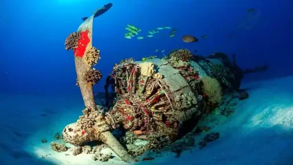 जहर उगल रहे 16 लाख टन विस्फोटक पर केकड़े और मछलियां क्यों बस गए