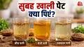 सुबह खाली पेट जीरा, अजवाइन या मेथी का पानी पीना सेहत के लिए वरदान माना जाता है. लेकिन क्या आप जानते हैं कि गलत ड्रिंक का चुनाव आपकी सेहत बिगाड़ भी सकता है? एक्सपर्ट ने बताया है कि आपकी