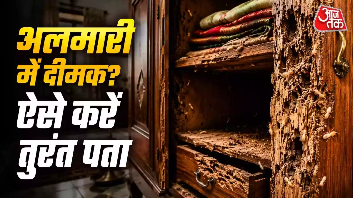 कहीं अलमारी को खोखला तो नहीं कर रही दीमक
