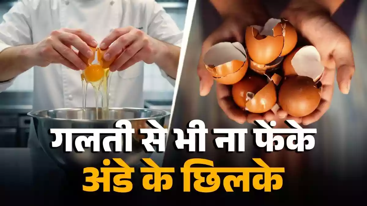 क्या आप भी अंडे खाकर छिलके फेंके देते हैं