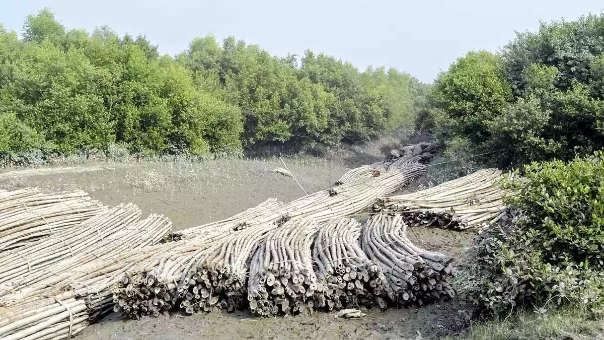 क्यों डूब रहे हैं गंगा से ब्रह्मपुत्र-गोदावरी तक के इलाके