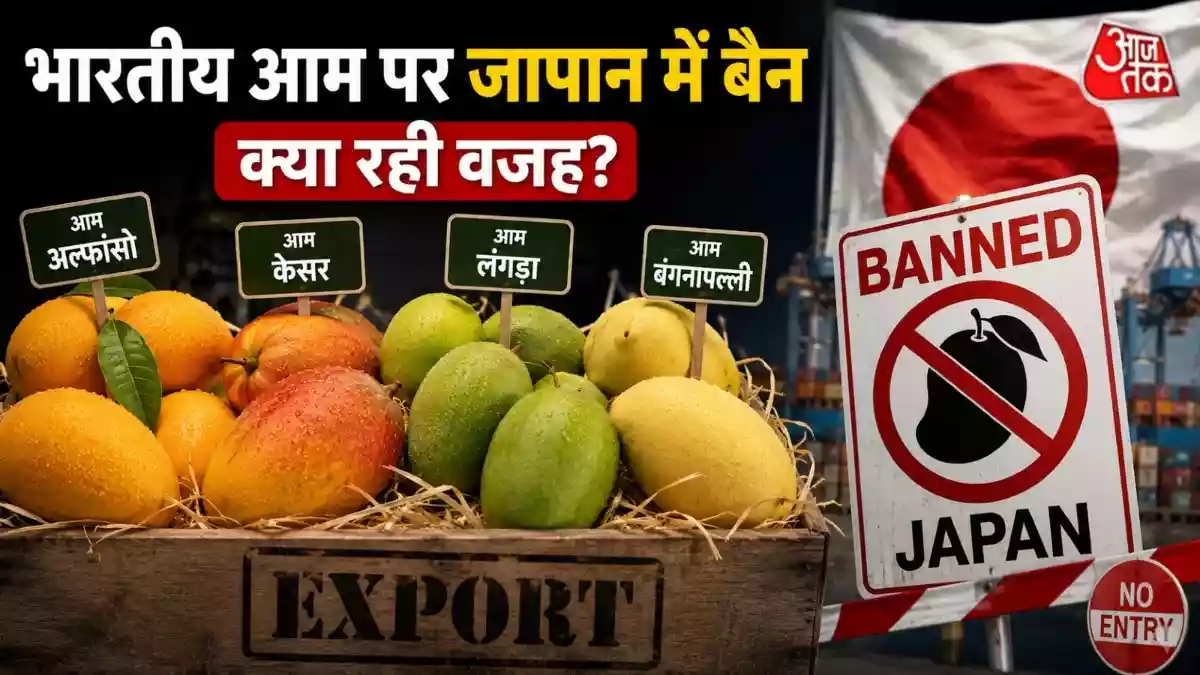 जापान ने भारत के प्रीमियम आम अल्फांसो, केसर, लंगड़ा, बंगनपल्ली पर 20 साल बाद फिर से प्रतिबंध लगा दिया है जिससे इस सीजन में भारतीय एक्सपोर्टर्स को बड़ा झटका लगा है. आखिर ऐसा क्यों किया गया
