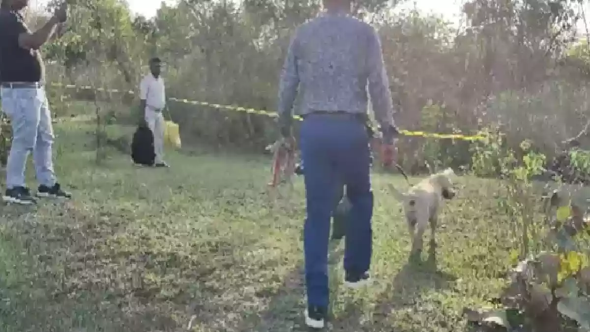 बोकारो में 9 महीने से लापता युवती हत्याकांड का चौंकाने वाला खुलासा हुआ है. प्रेमी ने शादी के दबाव में जंगल ले जाकर हत्या कर दी और शव छिपा दिया. पुलिस ने आरोपी की निशानदेही पर कंकाल बरामद