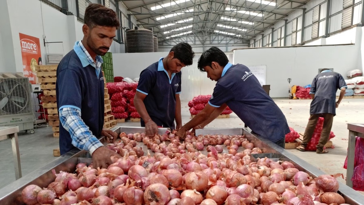 Onion Price Hike After Sugar: चीनी की बढ़ती कीमतों ने पहले ही रसोई का बजट बिगाड़ दिया, तो वहीं अब रोजमर्रा में इस्तेमाल होने वाली प्याज भी आंसू निकालती नजर आ रही है. दिल्ली-NCR समेत देश के तमाम शहरों में