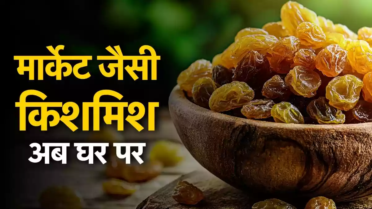 मार्केट से महंगी किशमिश खरीदने की जरूरत नहीं