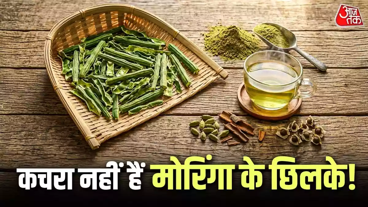 अक्सर हम सहजन यानी मोरिंगा की सब्जी बनाते समय इसके छिलके फेंक देते हैं, लेकिन ये छिलके पोषण से भरपूर होते हैं. इसलिए अगली बार इनको कूड़े में डालने से पहले यह जान लीजिए कि कैसे आप