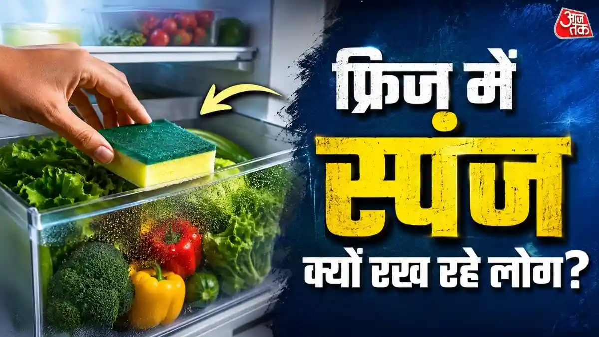 Fridge Cleaning Tips Summers: गर्मियों में फ्रिज की नमी के कारण सब्जियां जल्दी गलने लगती हैं और बदबू आने लगती है. सोशल मीडिया पर एक ट्रिक वायरल हो रही है, जिसमें लोग फ्रिज में सिर्फ एक सूखा स्पंज रखकर