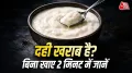 ज्यादातर लोग सोचते हैं कि दही खराब नहीं होता है. लेकिन क्या आप जानते हैं कि दही भी खराब होता है. अब सवाल है कि उसकी पहचान कैसे की जाए तो बता बिना चखे भी खराब दही की पहचान की जा सकती है? दही