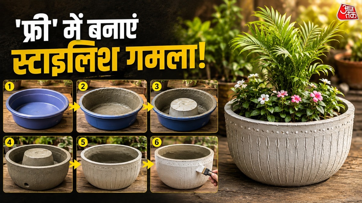 पुराने टब से सस्ते में बनाएं ₹500-1000 वाला खूबसूरत सीमेंट गमला
