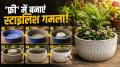 पुराने टब से सस्ते में बनाएं ₹500-1000 वाला खूबसूरत सीमेंट गमला